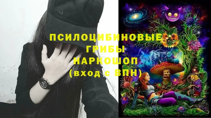 Галлюциногенные грибы Magic Shrooms  гидра вход  Ветлуга 